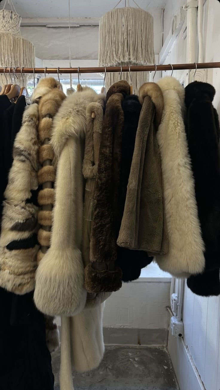 Jackets - Rosette & Co