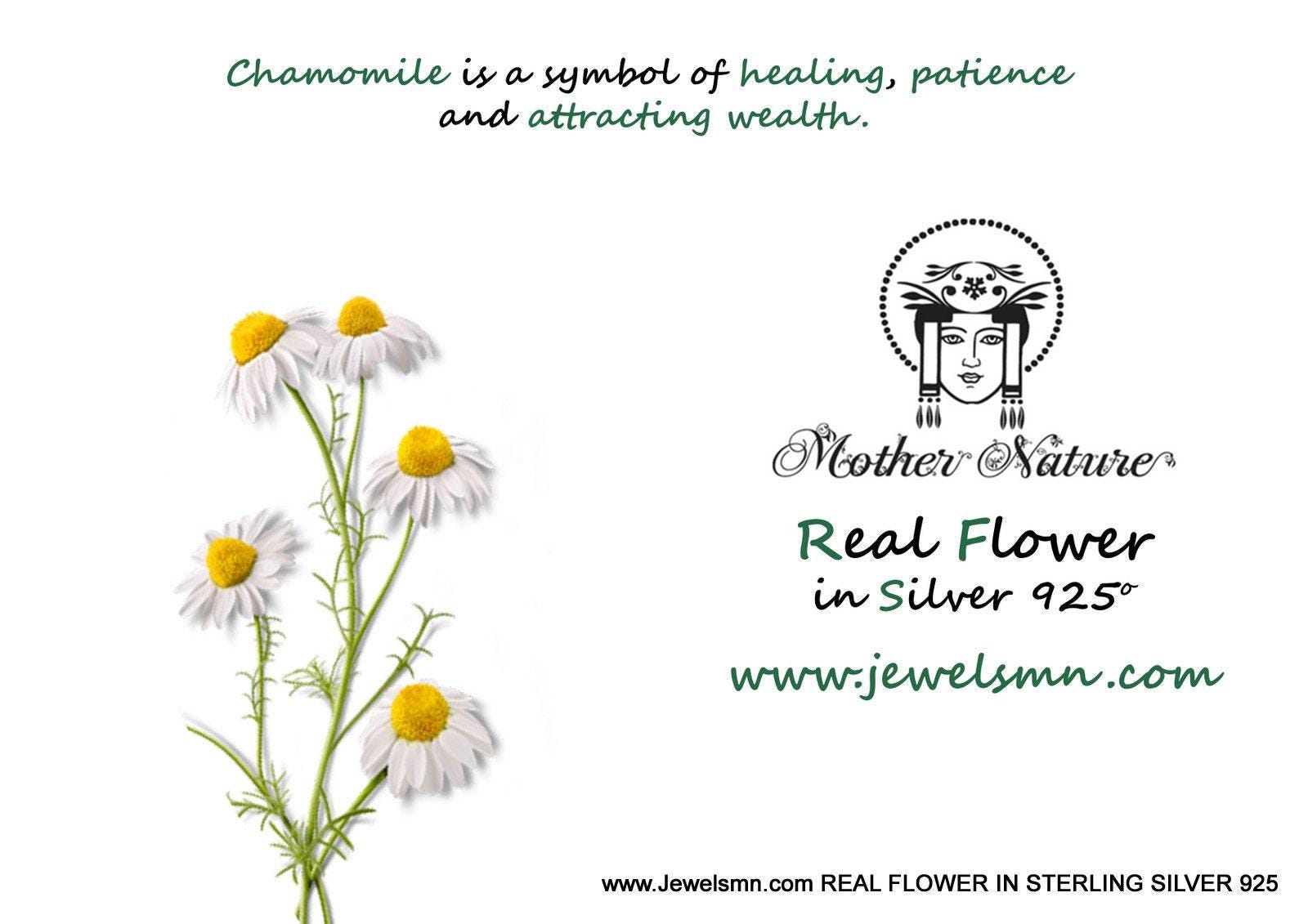 Gold Chamomile Necklace - Rosette & Co
