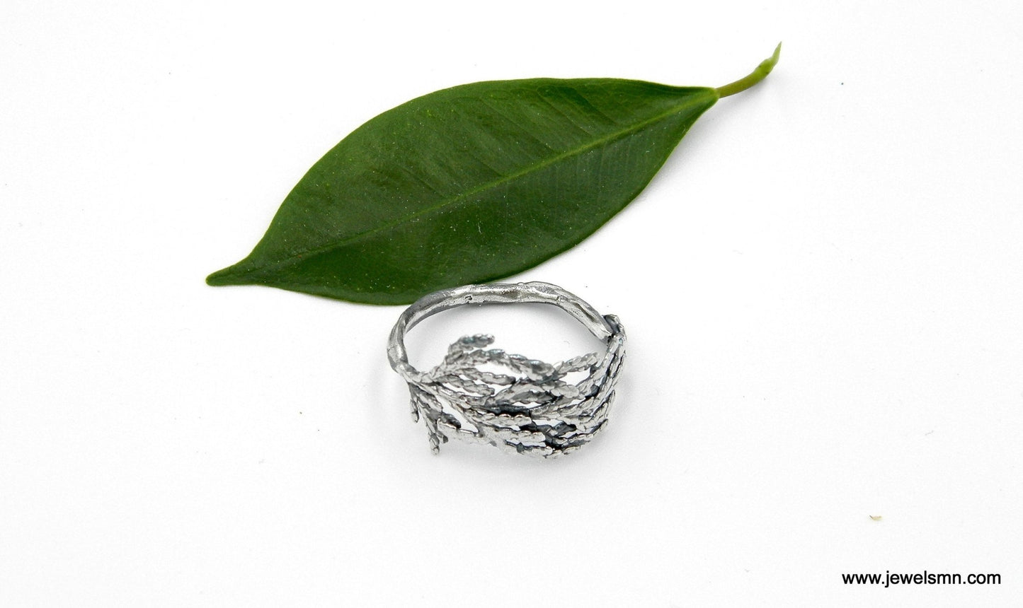 Sterling Silver Cypress Ring - Rosette & Co