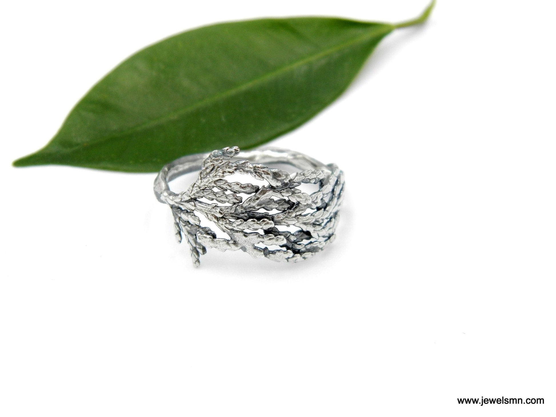 Sterling Silver Cypress Ring - Rosette & Co